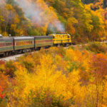 most-glamorous-destinations-for-the-holiday-beautiful-train-ride